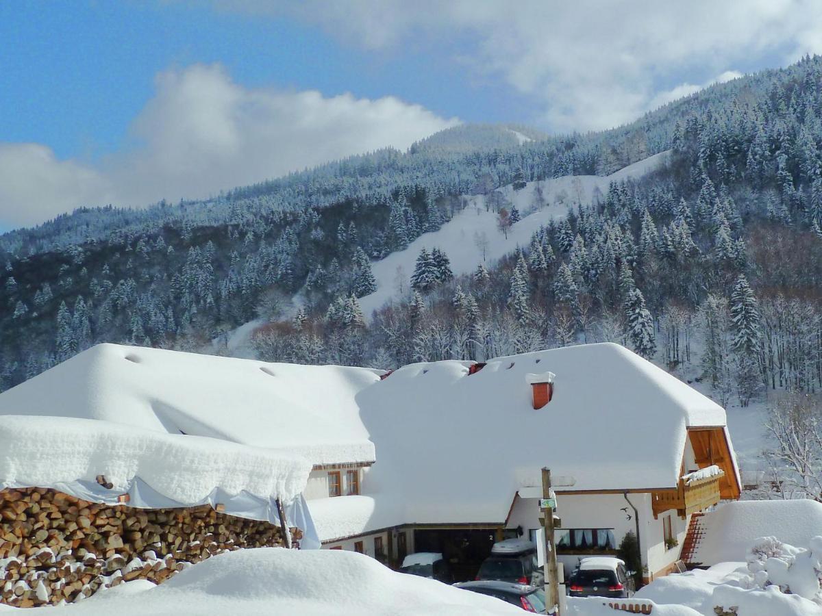 Apartment In Brandenberg With Terrace ทอดท์เนา ห้อง รูปภาพ
